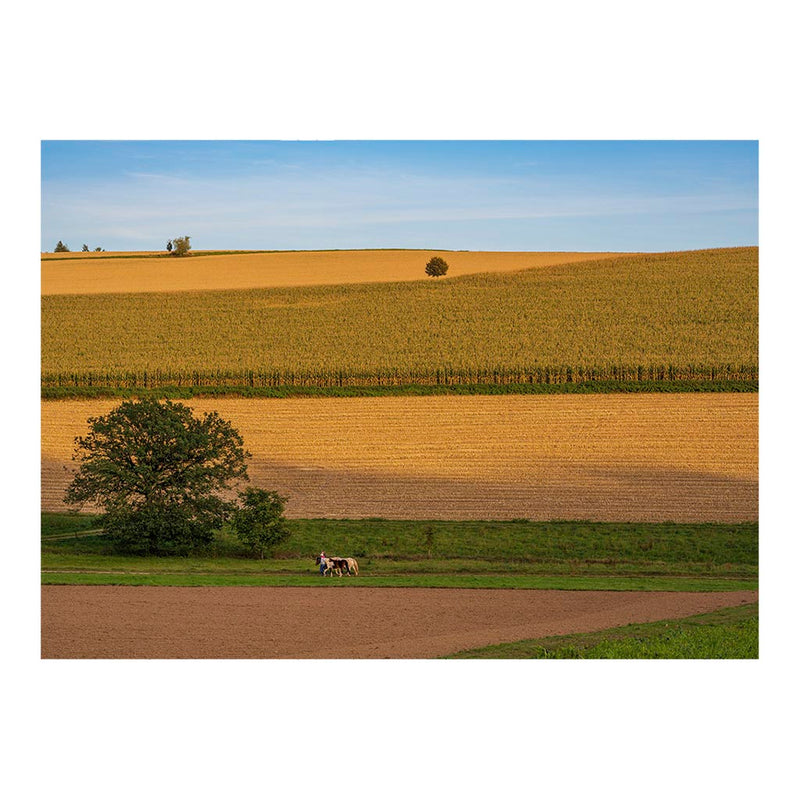 Fields and Meadows Near Neckarkatzenbach, Neunkirchen, Germany Jigsaw Puzzle