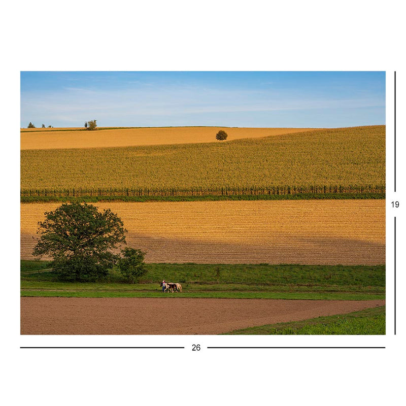 Fields and Meadows Near Neckarkatzenbach, Neunkirchen, Germany Jigsaw Puzzle