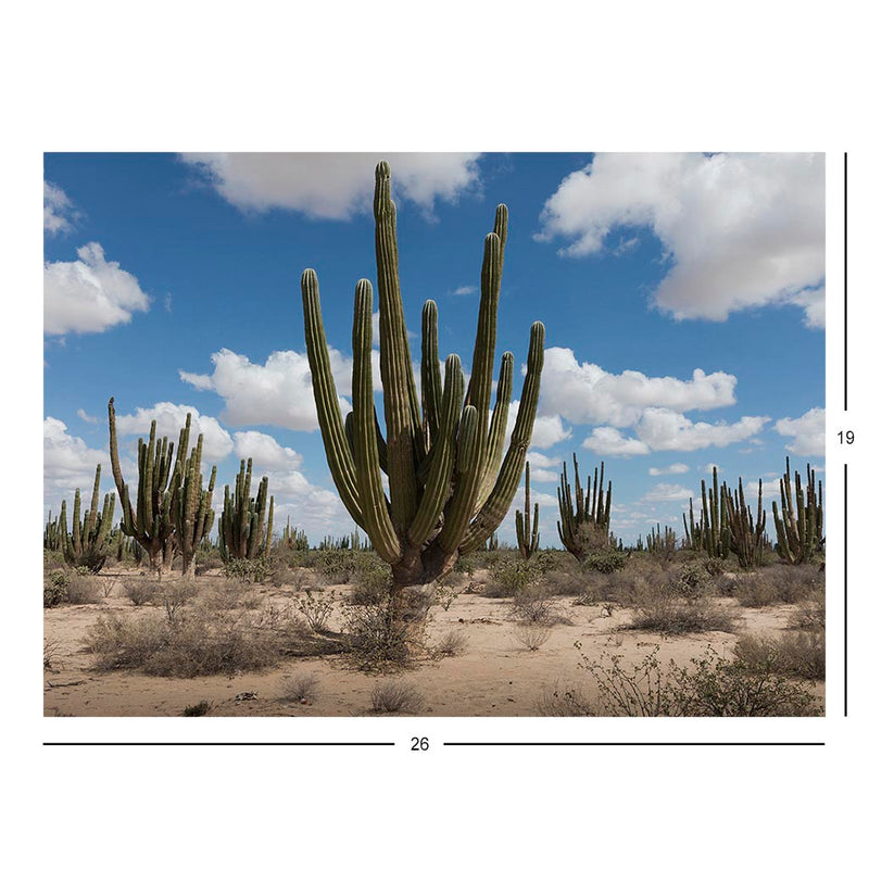 Pachycereus pringlei Forest in Sonoran Desert, Mexico Jigsaw Puzzle