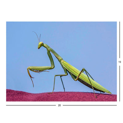 European Praying Mantis Jigsaw Puzzle