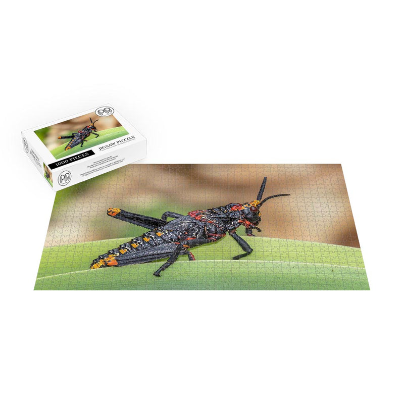 Koppie Foam Grasshopper Nymph, South Africa Jigsaw Puzzle
