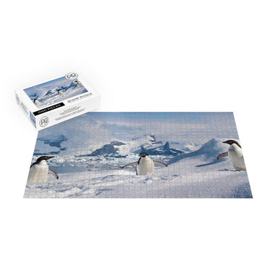 Adelie Penguins in the South Shetland Islands Jigsaw Puzzle