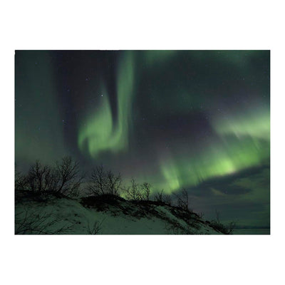 Aurora Borealis, Abisko National Park, Sweden Jigsaw Puzzle