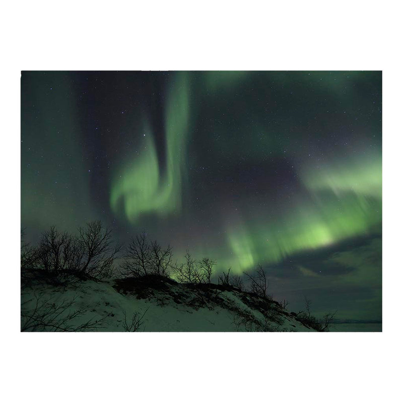 Aurora Borealis, Abisko National Park, Sweden Jigsaw Puzzle