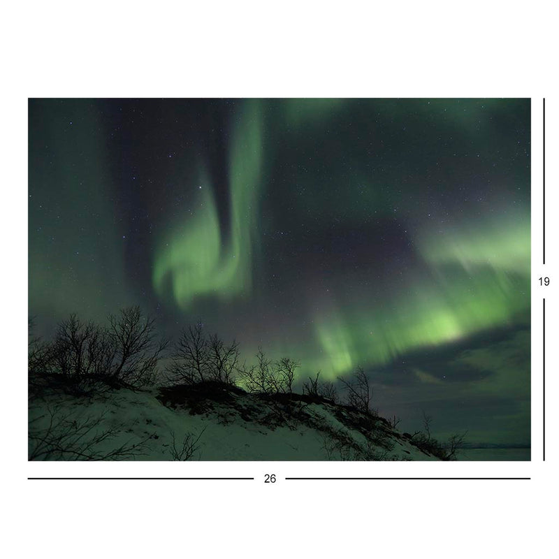 Aurora Borealis, Abisko National Park, Sweden Jigsaw Puzzle