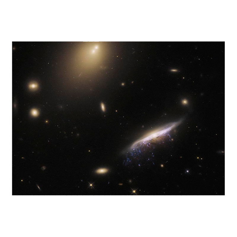 Hubble Telescope Image of A Jellyfish Galaxy JW100 Jigsaw Puzzle