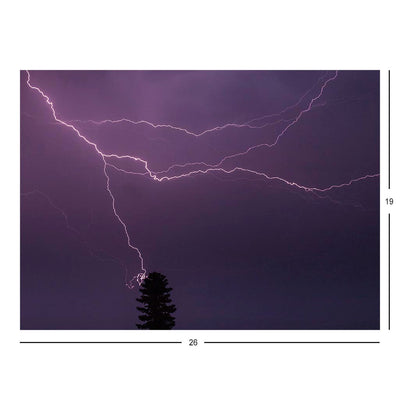 Lightning strike in Conifer Jigsaw Puzzle