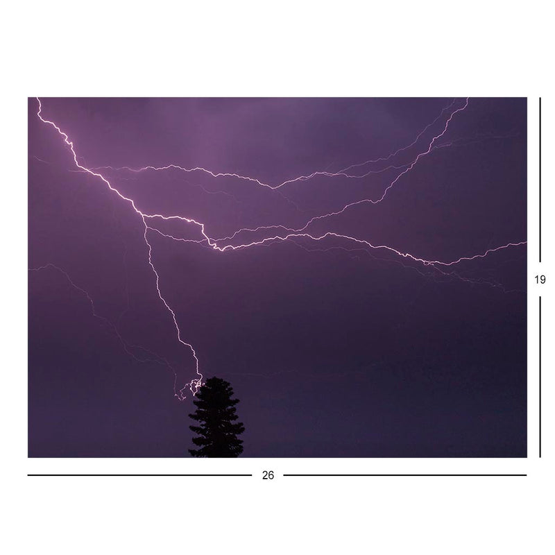 Lightning strike in Conifer Jigsaw Puzzle