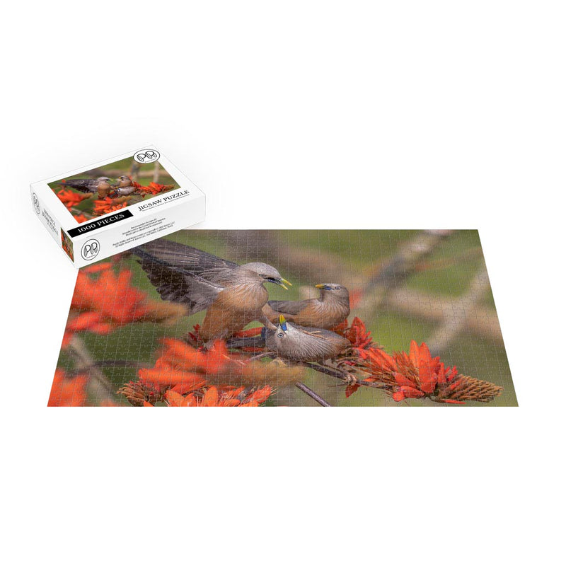 Chestnut-tailed Starling, Satchari National Park, Bangladesh Jigsaw Puzzle