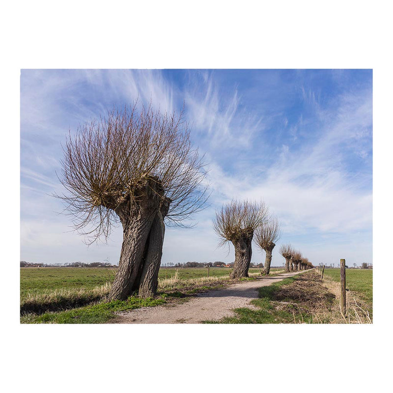 Schokland UNESCO World Heritage Jigsaw Puzzle