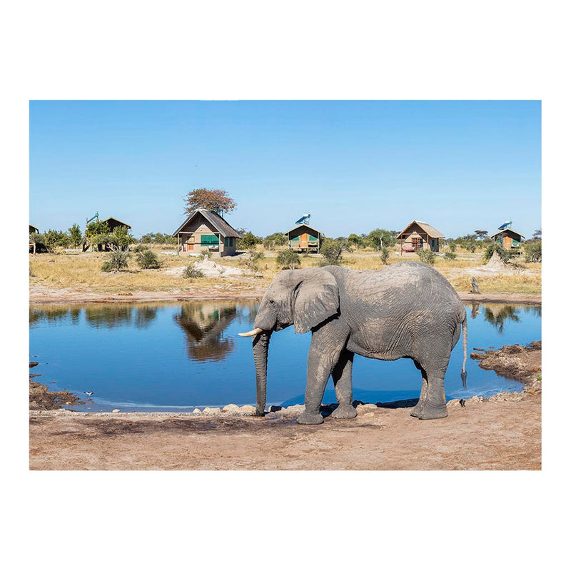 African Bush Elephants, Botswana Jigsaw Puzzle