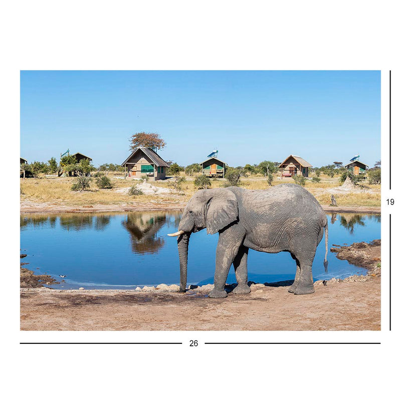 African Bush Elephants, Botswana Jigsaw Puzzle