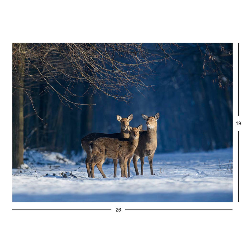 Sika Deer, Kremenets Hills, Ukraine Jigsaw Puzzle