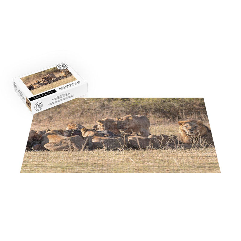 Lions Devouring an African Buffalo,Chobe National Park, Botswana Jigsaw Puzzle