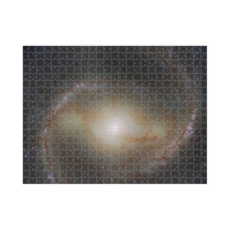 A Spiral Snapshot Jigsaw Puzzle