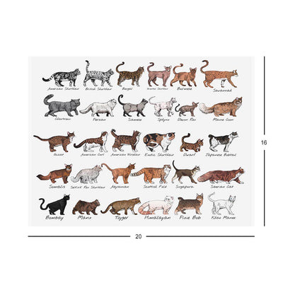 Cat Breeds Jigsaw Puzzle measurements 