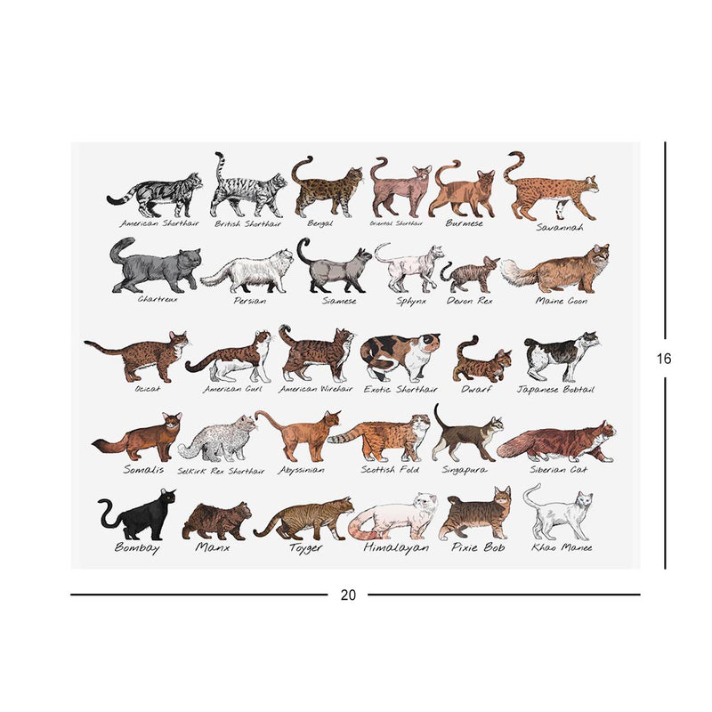 Cat Breeds Jigsaw Puzzle measurements 
