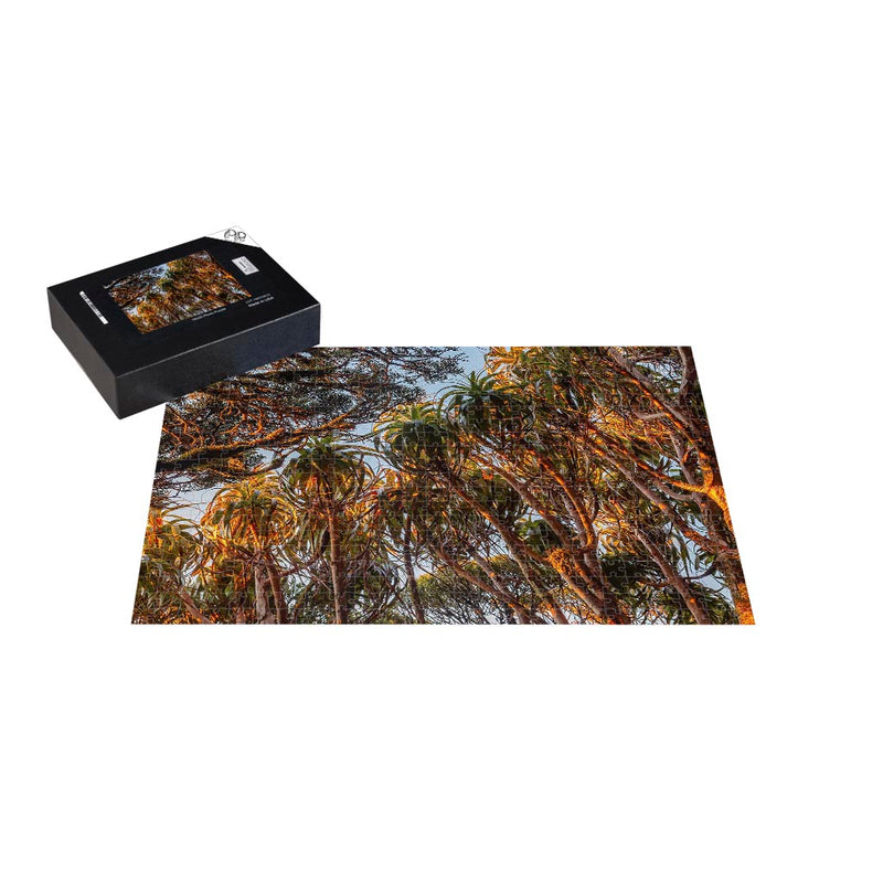 Wikimedia Commons Jigsaw Puzzle of the Day Bush Canopy