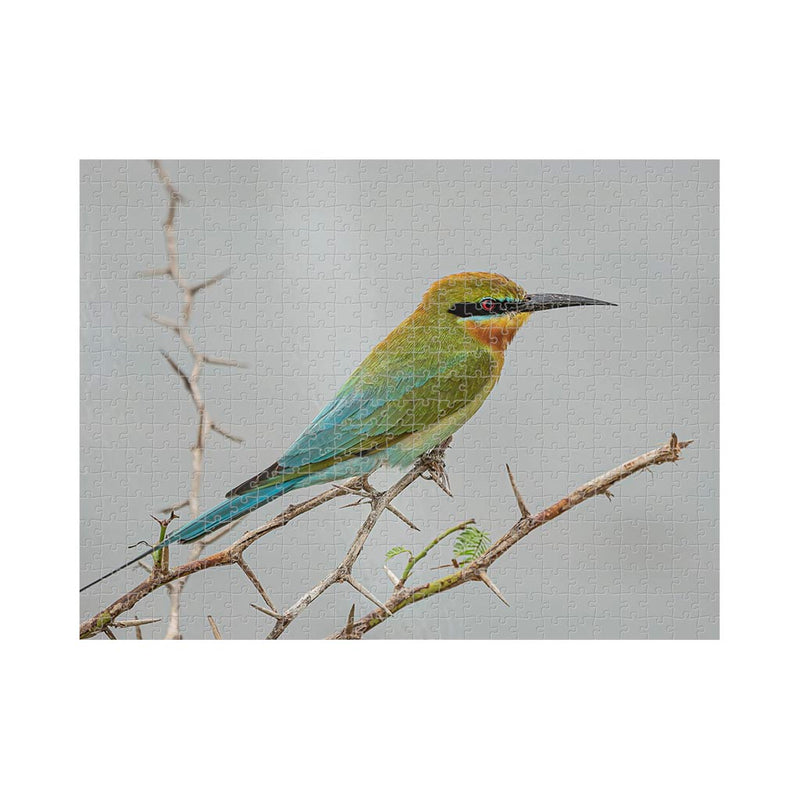 Wikimedia Commons  Jigsaw Puzzle of the Day A Blue-tailed Bee-eater