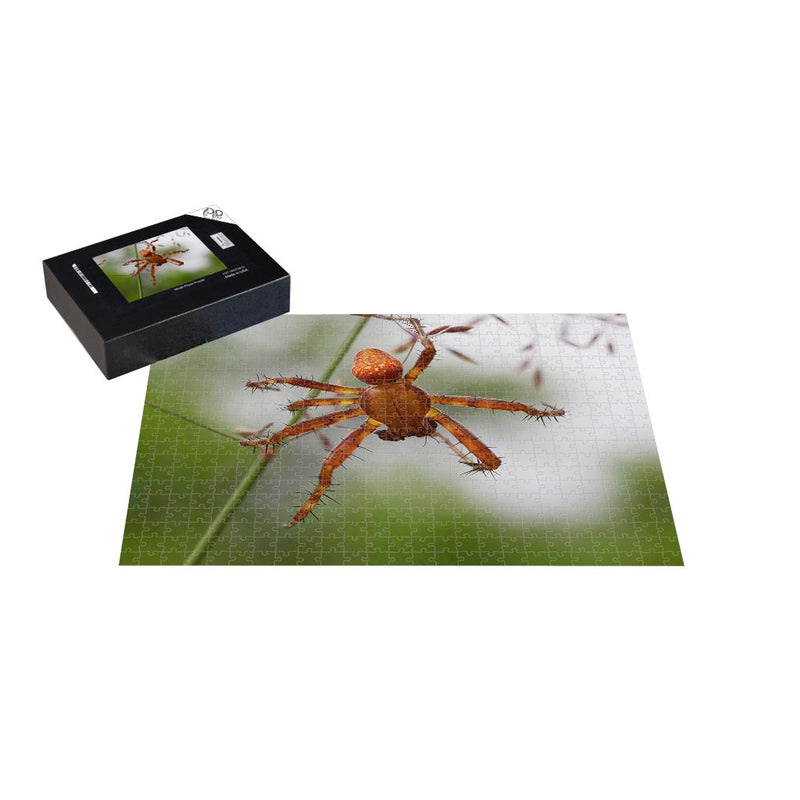 Wikimedia Commons Jigsaw Puzzle of the Day Strawberry Spider