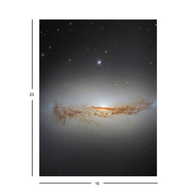 More Than Meets the Eye Jigsaw Puzzle