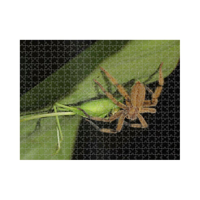 Wikimedia Commons Jigsaw Puzzle Of The Day Wandering Spider