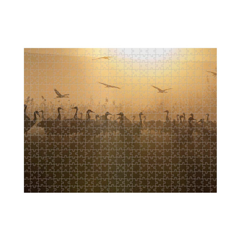 Wikimedia Commons Jigsaw Puzzle Of The Day A Flock Of Cranes