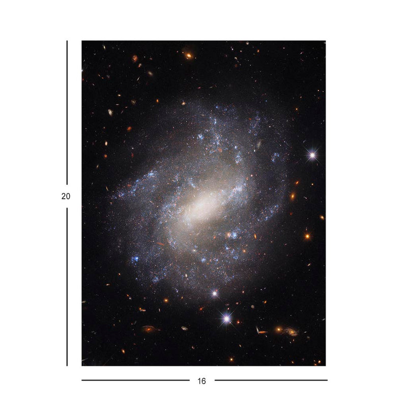 Lonely Spiral Jigsaw Puzzle
