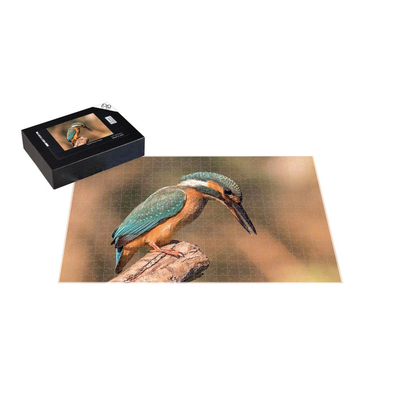 Wikimedia Commons Jigsaw Puzzle of the Day Female Common Kingfisher